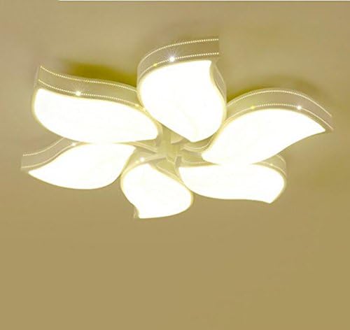 FAFZ Simple Modern Led Ceiling Light Living Room Lamp Master Bedroom Lamp Heart-shaped Balcony Lamps ( Color : No aurora-88cm+72w )