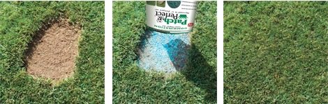 TV Das Original 04861 Patch Perfect Spezial-Grassamen zur Rasen-Reparatur - 2