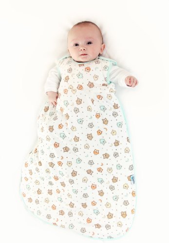 Slumbersac Baby Sleeping Bag Standard Weight approx. 2.5 Tog - Simply Owl, 0-6 months/70cm
