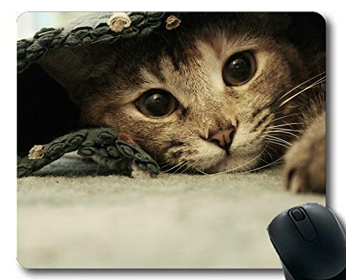 Preisvergleich Produktbild Mauspad, Katzenmauspad, Mauspad für Computer cat292