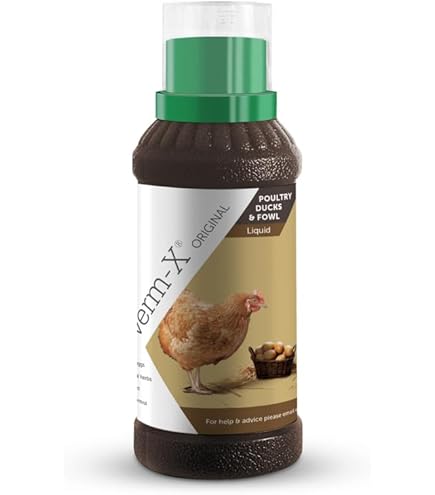 Oeuf De Pâques à Remplir 36 PIÈCES SÉRIES Cartons D'Oeufs En Plastique Transparent Porte-Oeufs Oeuf A Remplir