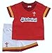 Brecrest Fashion Baby-Boys Welsh Rugby Union Clothing Set, Red, 9-12 Months