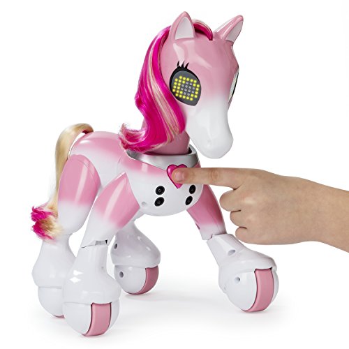 41cnrEF0BCL Zoomer - 6036997 - Pony
