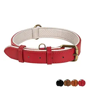Poohoo Genuine Leather Dog Collar Soft & Breathable Padded | Brass Hardware Rust-Proof | Heavy Duty | Dog Tag Ring | for Medium Large X-Large Dogs (Medium, Red)