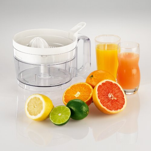 Imagen 8 de Moulinex FP518G