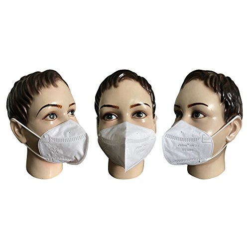 Buy Filtra Pm2 5 N95 Kids Air Pollution Mask White Box Of 25