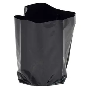 Green Paradise Grow Bags UV Protected Plastic Poly Grow Bags Plant Nursery Bags, 6x8 inch (Black) - Pack 50