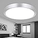 Produktbild 12W LED Deckenleuchte Modern Einfache Rund Silberfarbige Eisen Deckenlampe Elegante Acryl Lampenschirm Creative Wohnzimmer Esszimmer Schlafzimmer Badezimmer Deckenleuchte Weißes Licht 5000 K Ø26cm