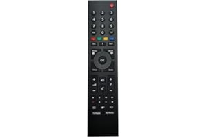 YQZBTX Mando a Distancia para Grundig TV RC3214801 03 TS1187R-5 TS1187 313923827833 XPS187 22VLE521BG 22VLE521SG 28VLE5401BG 32VLE555BG 40VLE5421WG