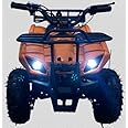 Gigaglitz 36V/500W Battery Mini Kids ATV, Orange