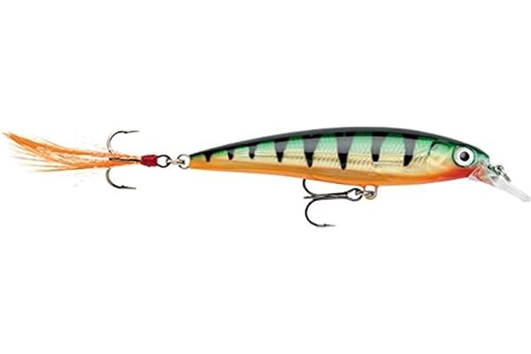 Rapala X-Rap Jerkbait 06 Leurres de pêche