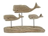 DRIFTWOOD PMP 3 Wäder auf Treibholz, 25 x 7 x 16 cm
