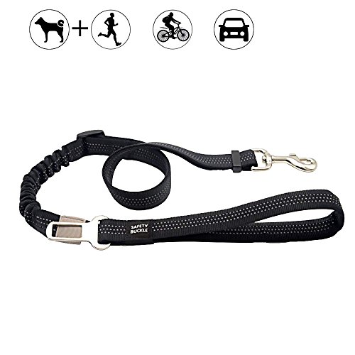 Dog Leash Adjustable Length - Reflective Nylon Webbing- High Elasticity Retractable Indestructible Dog Leash w