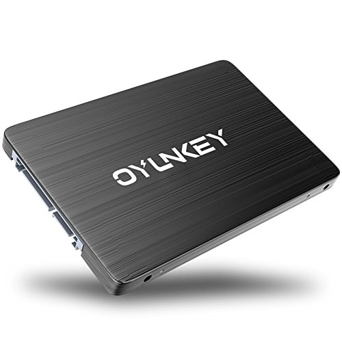 OYUNKEY 3D NAND SSD 120GB 2 5 pulgadas SATA III Disco duro s  lido interno hasta 520 MB s de velocidad de lectura  hasta 400 MB s de velocidad de escritura para Desktop   Laptop   Notebook   E PRO-120G   