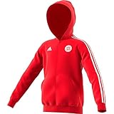 auf der Rückseite sorgt eine Team-Grafik für Aufsehen