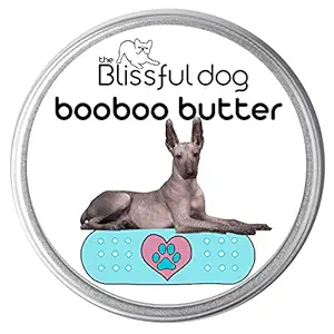 The Blissful Dog 8 oz Tin Xoloitzcuintli Booboo Butter