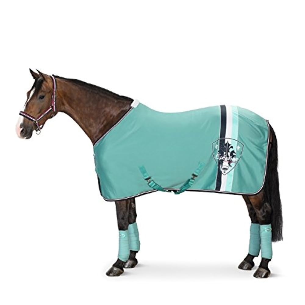 Товары для конного спорта. Попона Jersey Rainbow,Eskadron. Попона для лошади Эскадрон. Амуниция для лошадей Эскадрон. Эскадрон Конная амуниция.