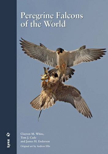 Peregrine falcons of the world francais
