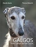 Image de Galgos: Vom Campo auf die Couch
