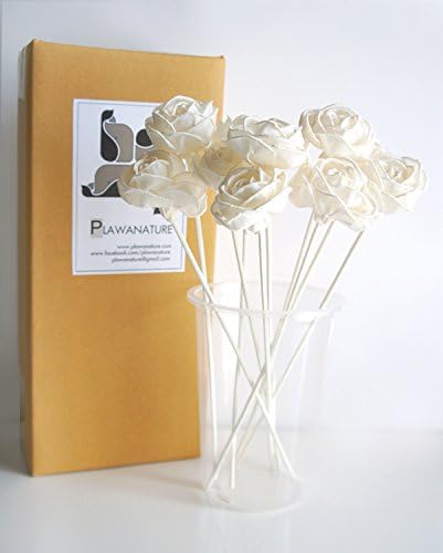 Exotic Plawanature Set of 10 Rose Design 2 Inch Sola Wood Flower with Reed Diffuser for Home Fragrance Aroma Oil.