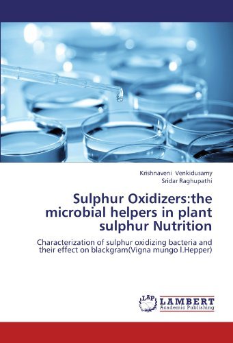 Sulphur Oxidizers:the microbial helpers in plant sulphur Nutrition: Characterization of sulphur oxidizing bacteria and their effect on blackgram(Vigna mungo l.Hepper) by Krishnaveni Venkidusamy (2012-06-25) francais Sulphur Oxidizers:the microbial helpers in plant sulphur Nutrition: Characterization of sulphur oxidizing bacteria and their effect on blackgram(Vigna mungo l.Hepper) by Krishnaveni Venkidusamy (2012-06-25) francais