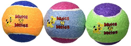 Small-Squeaky-Dog-Balls-by-MuttsNMates-super-bouncy-small-dogs-toy-3-Pack