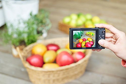 Sony DSC-WX500 Digital Compact High Zoom Travel Camera with 180 Degrees Tiltable LCD Screen (18.2 MP, 30 x Optical Zoom… - Image 17