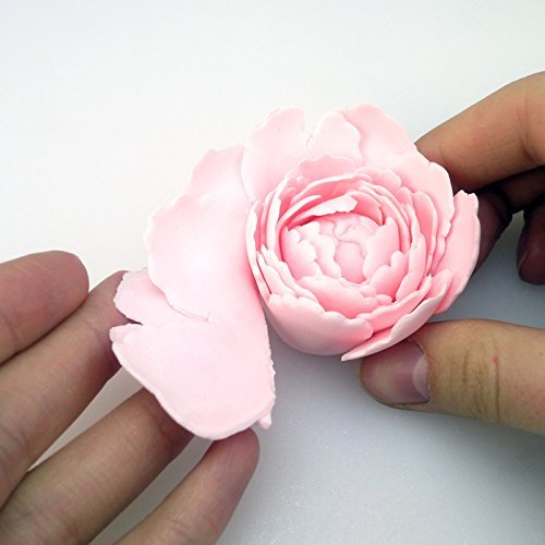 FMM Cutter Easiest Peony Ever + Leaf Icing Cutter Fondant Cutting Tool for Cakes - 3