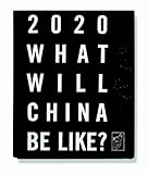 Image de The Chinese Dream: A Society Under Construction
