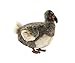 Produktbild Hansa, Vögel, Dodo, Plüsch, 30cm
