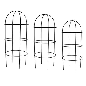 Obelisk Plant Support Stand