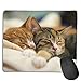 Produktbild Mouse Pad Cute Cat Sleeping Art Rectangle Rubber Mousepad 8.66 X 7.09 Inch Gaming Mouse Pad with Black Lock Edge