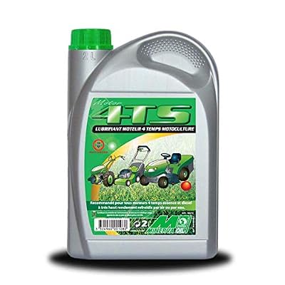 Minerva Oil Huile special motoculture 4 temps 15W40 2 Litres