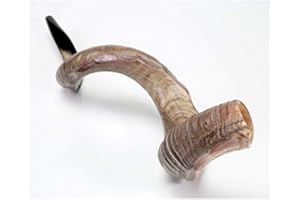 YEMENITE SHOFAR KOSHER shofarot Israël Koudou Histoire des Corne au Yémen Shofar casher tous les poli environ 88,9 cm -37 "New