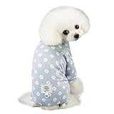 Frisch und elegant; Lebhafte und kräftige Farben sorgen dafür, dass sich Ihr Vierbeiner von der Masse abhebt!Ideal für den täglichen Verschleiß, Wandern, Outdoor, Sport, zu Hause, Reisen, Ihres Welpen Lieblichkeit an andere zeigt