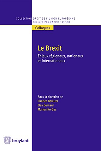 Preisvergleich Produktbild Le Brexit : Enjeux régionaux, nationaux et internationaux
