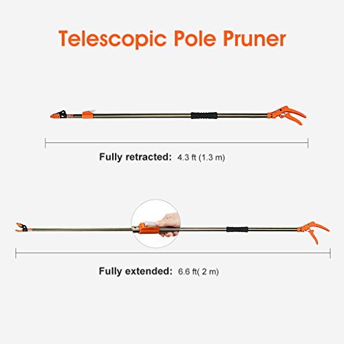 Finether Teleskopschere Teleskop Baumschere Teleskop-Schere mit Säge Schneidgiraffe Teichschere Baumschneider, Teleskopstiel bis 2 m lange, inkl. Sägefunktion, Sägeblatt Leichtgewicht 680g - 7