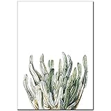 ☞Tamaño: 50*40cm Hosaire 1x Cactus Verde Lienzo de Póster Lamina de Pared Imagen de Niños Wall Art Print Picture for Bedroom Decoración del Hogar Impresiones Sin Marco 50 * 40CM