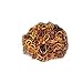 Mytoptrendz® Natural Brown Tone Small Tiny Mini Elastics Hair Tie Ultra Elastic Rubber Bands