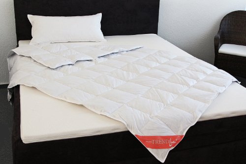 Badenia 03620190149 Daunendecke Trendline Comfort Leicht 155 x 220 cm - 2