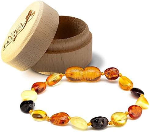 Naga Hoard Bean Shaped Baltic Amber Anklet / Bracelet with a Natural Wood Gift Box