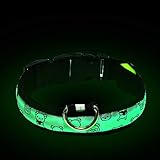 El collar de perro parpadeante de Pomisty ofrece una luz muy brillante y garantiza que su perro esté bien visible durante la noche o en condiciones de poca luz. Con este collar para perros, usted y su perro podrán ser bien visto desde el coche, corredores y ciclistas.
