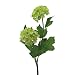 Produktbild Kunstblume SCHNEEBALLZWEIG ca 49 cm. (Viburnum. Blüte ähnlich wie Hortensie) In GRÜN-50