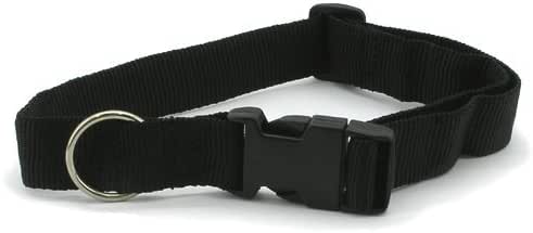 best magnetic dog collar