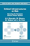 Image de Critical Infrastructures at Risk: Securing the European Electric Power System