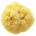 Hydrea London Wool Sea Sponge for Bath 4.5 to 5-inch