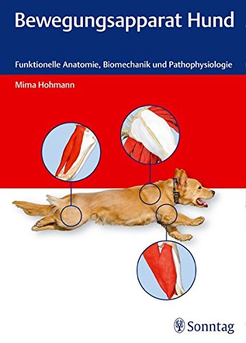 Download Bewegungsapparat Hund: Funktionelle Anatomie, Biomechanik und Pathophysiologie Download Bewegungsapparat Hund: Funktionelle Anatomie, Biomechanik und Pathophysiologie