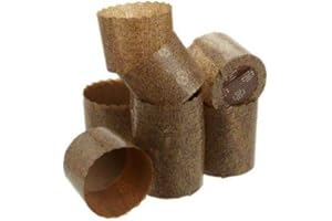 BAKERY DIRECT LTD Bakery Direct – Lot de 50 moules à panettone en papier, 60 x 45 mm