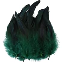 Lot De 150 Plumes Colorées Naturelles (15-20 Cm) Pour Déco, Fête, Bricolage, Attrape-rêves, Costumes - Assortiment Multicolore