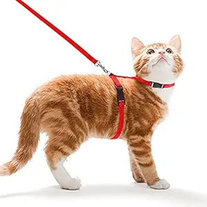 Futurekart Cat Harness Leash Nylon Set for Cat Rabbit Kitten and Small Pet Nylon Harness Strap Collar /Cat Training Leash Lead (Red)